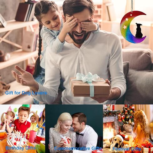 صائد الشمس التذكاري للكلاب، هدايا تذكارية للكلاب لفقدان الكلب، صائد ضوء من الزجاج الملون الحقيقي، مجموعة صائد الشمس، صائدات الشمس لتعليق النوافذ، هدايا تذكارية للحيوانات الأليفة للكلاب، هدية تعاطف الكلب in Saudi Arabia
