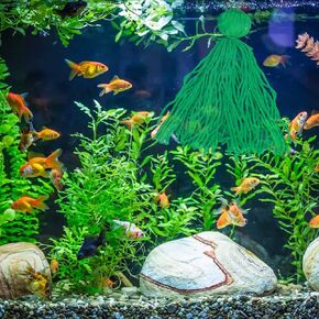 Fish Spawning Mop, Floating Fish Breeding Mops for Egg Laying, Safe Baby Fish Hideout Decorative Aquarium Grass (2 Pack)