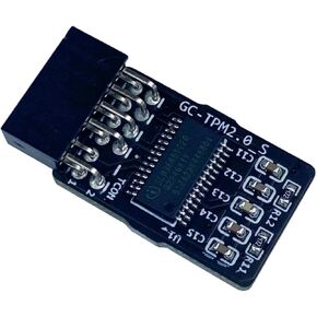 TPM 2.0 Encryption Security Module with 12 pin Compatible with Windows 11 for GIGABYTE Motherboard