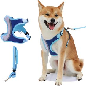 No Pull Dog Harness with Leash Set All Weather Mesh Adjustable Step in Fashion Splicing Escape Proof Vest Harness for Small and Medium Dogs Puppy,Big Cat Blue S
