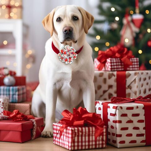 Silkfly 60 Pcs Christmas Dog Collar Flowers Bulk Christmas Pet Flower Collar Bow Ties Holiday Dog Accessories Slides Attachment Decorations for Small Medium Large Dog Cat Puppy Bow Grooming Supplies in Saudi Arabia