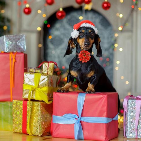 Silkfly 60 Pcs Christmas Dog Collar Flowers Bulk Christmas Pet Flower Collar Bow Ties Holiday Dog Accessories Slides Attachment Decorations for Small Medium Large Dog Cat Puppy Bow Grooming Supplies in Saudi Arabia