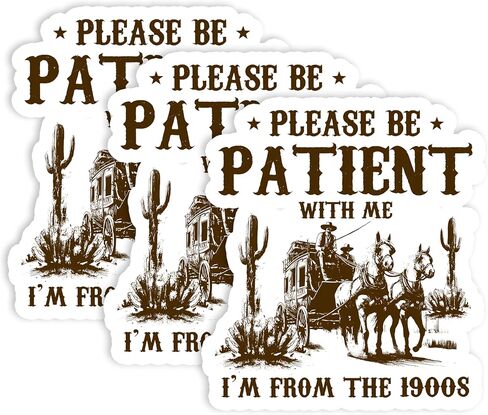 Set 3Pcs Please Be Patient with Me I'm from The 1900s Sticker Funny Sarcastic Waterproof 3 Inches Die-Cut Vinyl Sticker for Water Bottle Phone Book Kindle Laptop Gift for Friend Coworker Many Sizes in Saudi Arabia