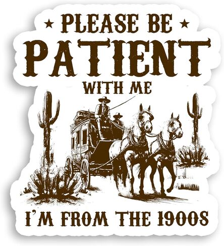 Set 3Pcs Please Be Patient with Me I'm from The 1900s Sticker Funny Sarcastic Waterproof 3 Inches Die-Cut Vinyl Sticker for Water Bottle Phone Book Kindle Laptop Gift for Friend Coworker Many Sizes in Saudi Arabia