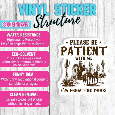 Set 3Pcs Please Be Patient with Me I'm from The 1900s Sticker Funny Sarcastic Waterproof 3 Inches Die-Cut Vinyl Sticker for Water Bottle Phone Book Kindle Laptop Gift for Friend Coworker Many Sizes in Saudi Arabia