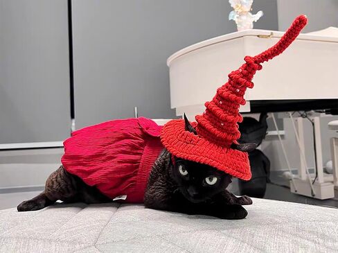 Pet Wizard Hat Handmade Cat Witch Hat Halloween Pet Costume Headwear Accessories Wizard Hat for Cat Small Dog Knitted Hat with Beads for Pet (Deep Purple) in Saudi Arabia