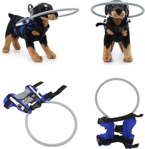 Blind Dog Harness Guiding Device, Blind Dog Halo Pet Harness Anti Collision Ring, Lightweight Blind Halo Harness with Reflective Effect for Blind Dogs Cats (Blue) in Saudi Arabia