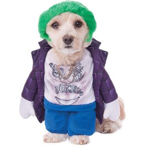 Rubie's DC Comics Suicide Squad Walking The Joker Pet Costume, X-Large