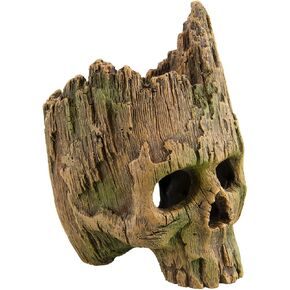 Underwater Treasures Wood Skull