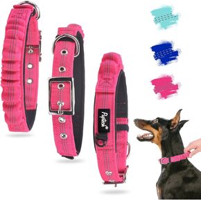 PUPTECK Heavy Duty Dog Collar with Handle Bungee for Small Medium Large Dogs, Tactical Dog Training Collar for Easy Control, Reflective Padded Dog Collars for Walking Running, Turquoise, M
