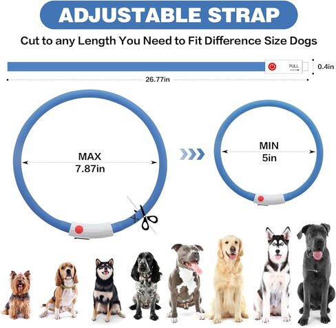 2-Pack LED Dog Collar, HIGO Light Up Dog Collars Glow in The Dark, USB Rechargeable Dog Lights for Night Walking, Reusable Safety Necklace for Small Medium Large Dogs (Pink) in Kuwait