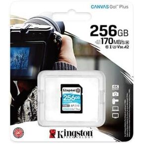 Kingston 256GB SDXC Canvas Go Plus 170MB/s Read UHS-I, C10, U3, V30 Memory Card (SDG3/256GBcr)