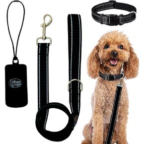 Reflective Dog Leash, Collar and Poop Bag Holder Bundle - Adjustable Durable Collar 5ft Leash for Small, Medium, Large Dogs - Soft-Handed with Padded Comfort for Evening Night Walks