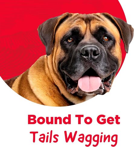 Rawhide Free Rings Dog Chews, Made with Real Beef, 7 Count in Saudi Arabia