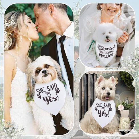2PCs Bridal Shower Gifts, My Humans are Getting Married Dog Bandana, Dog Wedding Photo Prop, Adjustable Triangle Scarves for Dogs, Engagement Announcement Scarf for Small Medium Large Dogs in Saudi Arabia