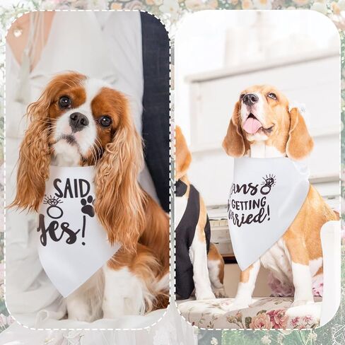 2PCs Bridal Shower Gifts, My Humans are Getting Married Dog Bandana, Dog Wedding Photo Prop, Adjustable Triangle Scarves for Dogs, Engagement Announcement Scarf for Small Medium Large Dogs in Saudi Arabia