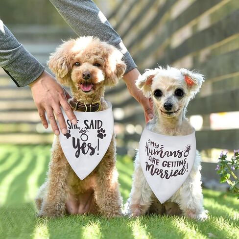2PCs Bridal Shower Gifts, My Humans are Getting Married Dog Bandana, Dog Wedding Photo Prop, Adjustable Triangle Scarves for Dogs, Engagement Announcement Scarf for Small Medium Large Dogs in Saudi Arabia