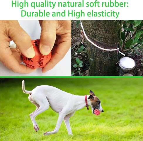 2 Pcs Dog Toy Teeth Ball,Dog Puzzle Toy,Treat Dispensing Dog Toys,Non Toxic Tear Resistant Natural Rubber Toy Ball for Pet Teeth Cleaning/Chewing/Playing/Training (Yellow+Red, 2.36in) in Saudi Arabia