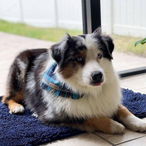 Dog Bandanas Large - Dog Accessories for Large Dogs, Plaid Dog Bandana, Handkerchief, Scarf, Gift for Medium Large Breed Boy Girl Dogs Puppies Pets, Blue, Red and Green, One Piece (Blue) in Saudi Arabia