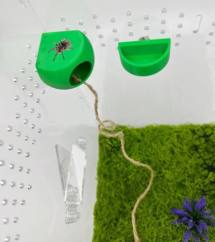 Jumping Spider Hide with Magnets & Jumping Spider Feeding Dish umping Spider Enclosure Accessories Pet Spider Hideout Enclosure Accessories(Not Included The Jumping Spider Terrarium) (Beige) in Saudi Arabia