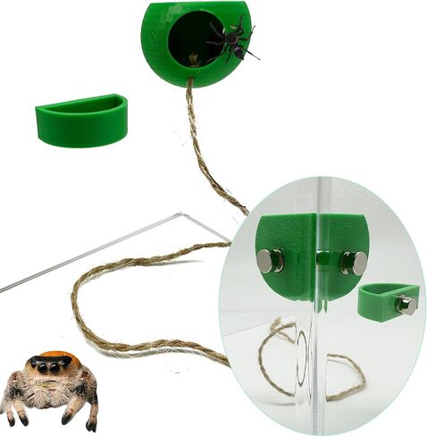Jumping Spider Hide with Magnets & Jumping Spider Feeding Dish umping Spider Enclosure Accessories Pet Spider Hideout Enclosure Accessories(Not Included The Jumping Spider Terrarium) (Beige) in Saudi Arabia