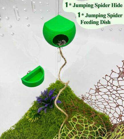 Jumping Spider Hide with Magnets & Jumping Spider Feeding Dish umping Spider Enclosure Accessories Pet Spider Hideout Enclosure Accessories(Not Included The Jumping Spider Terrarium) (Beige) in Saudi Arabia