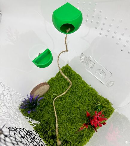 Jumping Spider Hide with Magnets & Jumping Spider Feeding Dish umping Spider Enclosure Accessories Pet Spider Hideout Enclosure Accessories(Not Included The Jumping Spider Terrarium) (Beige) in Saudi Arabia