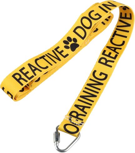 JXGZSO Reactive Dog Leash Dot Not Pet Working Dog Leash Service Dog Leash Wrap (Reactive not Aggressive DL) in Saudi Arabia