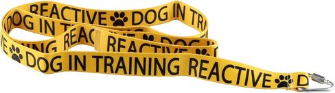 JXGZSO Reactive Dog Leash Dot Not Pet Working Dog Leash Service Dog Leash Wrap (Reactive not Aggressive DL) in Saudi Arabia