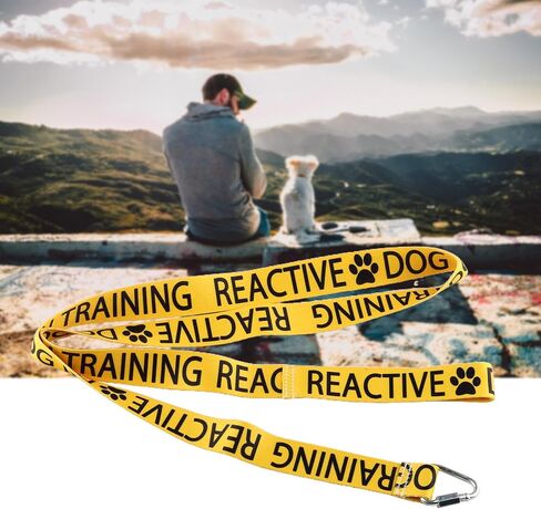 JXGZSO Reactive Dog Leash Dot Not Pet Working Dog Leash Service Dog Leash Wrap (Reactive not Aggressive DL) in Saudi Arabia