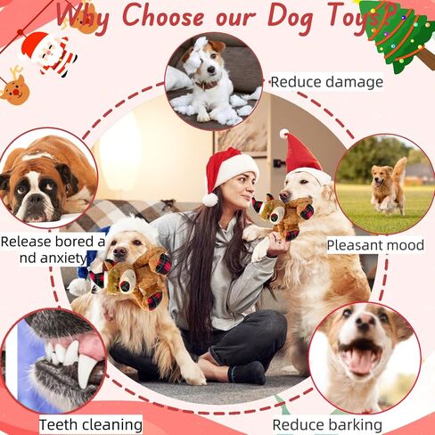 Christmas Squeaky Dog Toys with Crinkle, Xmas Interactive Plush Dog Chew Toys, Dog Enrichment Toys to Keep Them Busy, Dog Toy for Small Medium Large Dogs - Xmas Bear in Kuwait