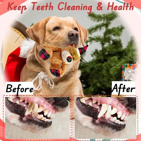 Christmas Squeaky Dog Toys with Crinkle, Xmas Interactive Plush Dog Chew Toys, Dog Enrichment Toys to Keep Them Busy, Dog Toy for Small Medium Large Dogs - Xmas Bear in Kuwait