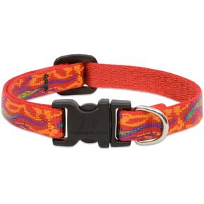 LupinePet Originals 1/2" Go Go Gecko 10-16" Adjustable Collar for Small Dogs