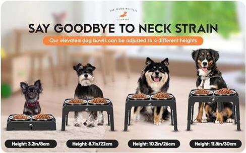 Adjustable Dog Bowl with Slow Feeder Insert, Black, stainless steel in Saudi Arabia