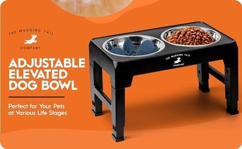 Adjustable Dog Bowl with Slow Feeder Insert, Black, stainless steel in Saudi Arabia