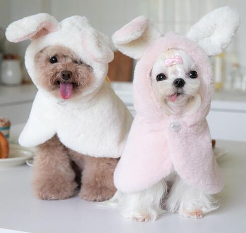 YQYS Pet Ponchos، معطف قطيفة دافئ للسلالات الصغيرة من الكلاب والقطط، زي عيد الفصح للكلاب، زي أرنب للجرو، أزياء أرنب الكلب، ملابس جرو فنجان الشاي لتشيهواهوا يوركي أرنب وردي XXSmall in Kuwait