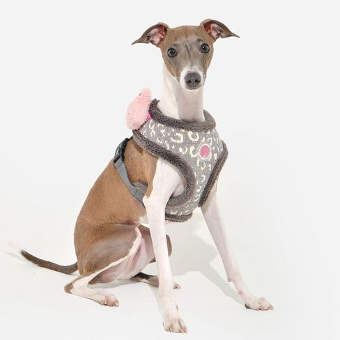 Pinkaholic New York Annika Dog Harness Over-The-Head Warm Winter Argyle Pattern Adjustable Chest for Small Dog, Aqua, Large in Saudi Arabia