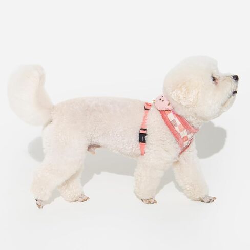Pinkaholic New York Annika Dog Harness Over-The-Head Warm Winter Argyle Pattern Adjustable Chest for Small Dog, Aqua, Large in Saudi Arabia