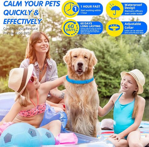 G · PEH Calming Collar for Dogs, Pheromone Collar for Dogs, Anxiety Relief for Pets, 60-Day Long Calming Effect, Relief Anxiety Stress Separation - Suitable for Small, Medium, and Large Dogs, 4 Pack in Kuwait