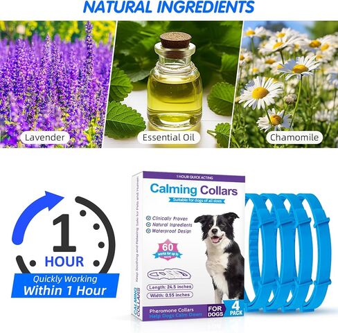 G · PEH Calming Collar for Dogs, Pheromone Collar for Dogs, Anxiety Relief for Pets, 60-Day Long Calming Effect, Relief Anxiety Stress Separation - Suitable for Small, Medium, and Large Dogs, 4 Pack in Kuwait