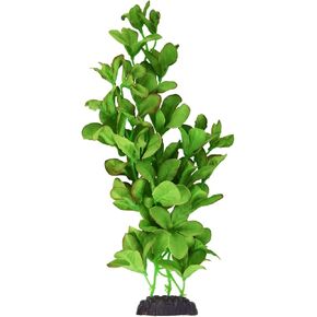 Underwater Treasures Silk Bacopa Monnieri - 12"