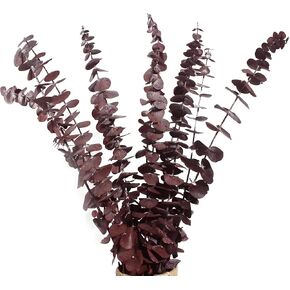 12PCS Dried Eucalyptus Bundle ,17'' Real Eucalyptus Stems - 100 % Natural Fresh Eucalyptus Leaves Greenery Stems for Shower Home Decor Flower Arrangement Wedding