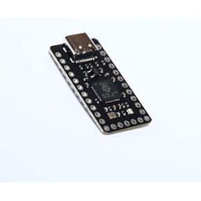BIT-C PRO RP2040 MCU مع RGB LED ومحمل التشغيل USB-C وUF2 (أسود)