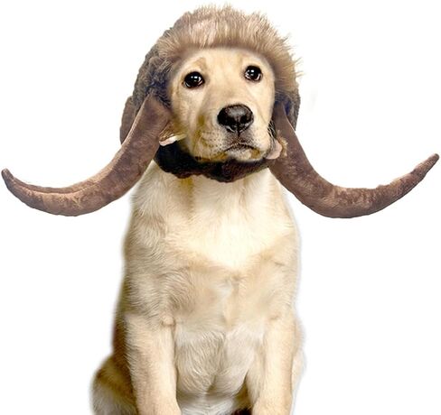 Bull Horn Wig for Pet Dog Costume Cosplay, Cattle Headgear Costumes, Ox Demon for Thanksgiving Christmas Party in Kuwait
