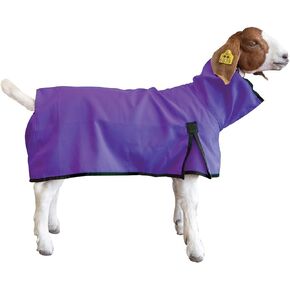 Goat Blanket, Extra-Large, Purple