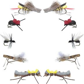 The Fly Fishing Place Basics Collection - Terrestrials Dry Fly Assortment - 10 Dry Fishing Flies - Hopper, Ant and Beetle Fishing Fly Patterns - Hook Sizes 10, 12 and 14
