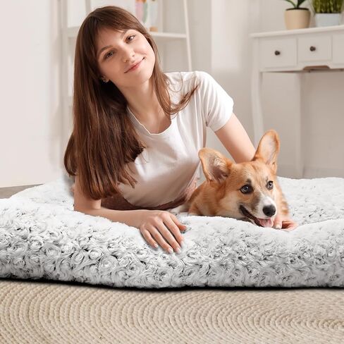Gulokoka أسرة الكلاب الكبيرة متوسطة الحجم للكلاب 29 × 21 بوصة، أسرة الكلاب الرقيقة للكلاب المتوسطة، بساط مريح للحيوانات الأليفة قابل للغسل للكلاب والقطط، رمادي داكن - متوسط in Saudi Arabia