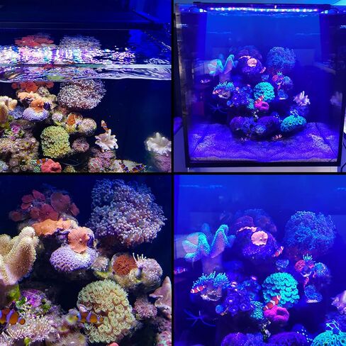 lucare 40W 24-36 Inch Saltwater Aquarium Light with Full Spectrum LED, Exclusive Reef Coral Light Spectrum for Marine Fish Tank，Dimmable Dual Channel for LPS & SPS in Kuwait