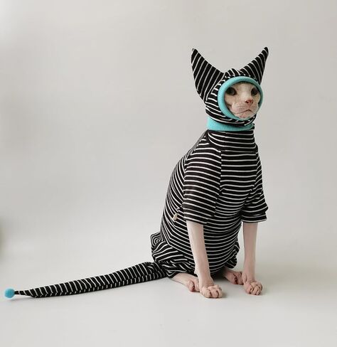 Hairless Cat Clothes, Cat Jumpsuit with Stripes 4 Legged Pajamas, Sphinx Clothing, Cat Apparel for Cats, Pet Onesies, Striped Cat Clothing with Hat and Tail Cover Set (X-Small, Full Set) in Saudi Arabia