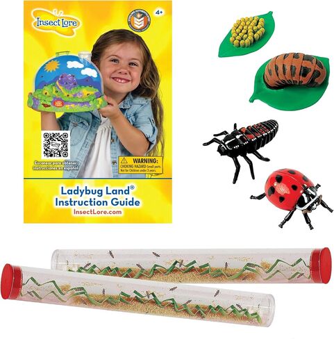 Two Tubes of Ladybug Larvae and LifeCycle Stages in Saudi Arabia